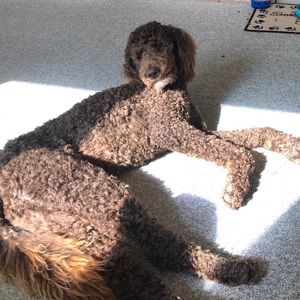 Meet your Posher, Beth